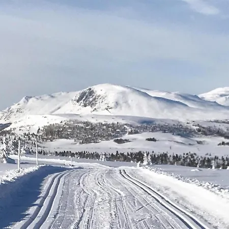 Gorgeous In Gol With Wifi * Golsfjellet