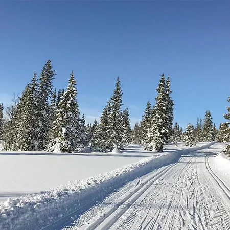 Gorgeous In Gol With Wifi * Golsfjellet